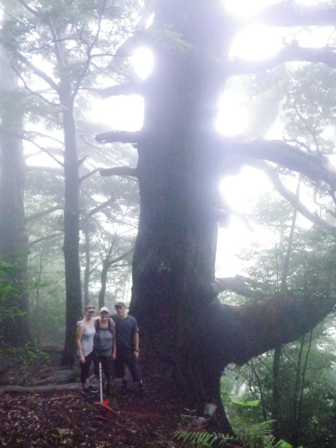 Хостел Kumano Backpackers Танабе Екстер'єр фото
